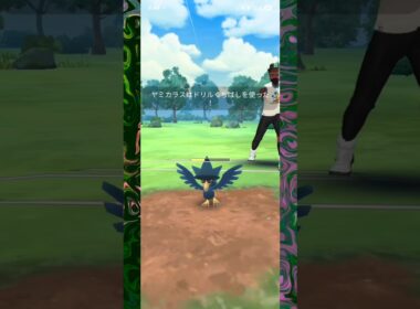 #あまえる族が居ればヤミカラスも余裕？