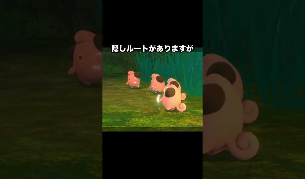 【幻の可愛さ】ピィたちの秘密の修行⁉️ #ポケモン #newポケモンスナップ