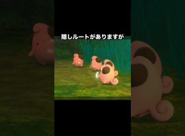 【幻の可愛さ】ピィたちの秘密の修行⁉️ #ポケモン #newポケモンスナップ