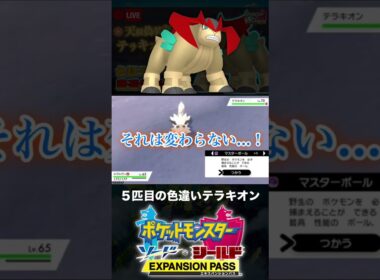 ５匹目の色違いテラキオンと邂逅した男【ポケモン剣盾】