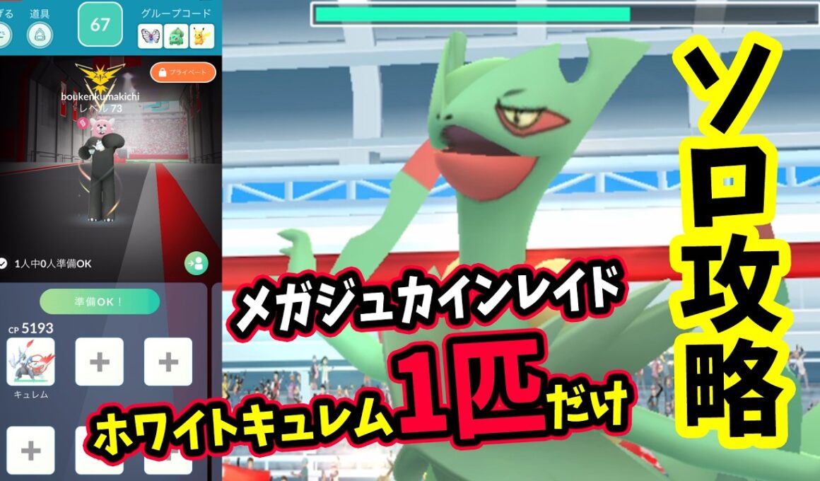 【ポケモンGO】圧倒的ソロ攻略！メガジュカインレイドをホワイトキュレム1匹だけで二重弱点のこおり技で対策して1人討伐！