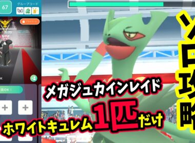 【ポケモンGO】圧倒的ソロ攻略！メガジュカインレイドをホワイトキュレム1匹だけで二重弱点のこおり技で対策して1人討伐！