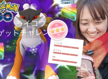 色々と違うけどライコウ優勝です!!【ポケモンGO】