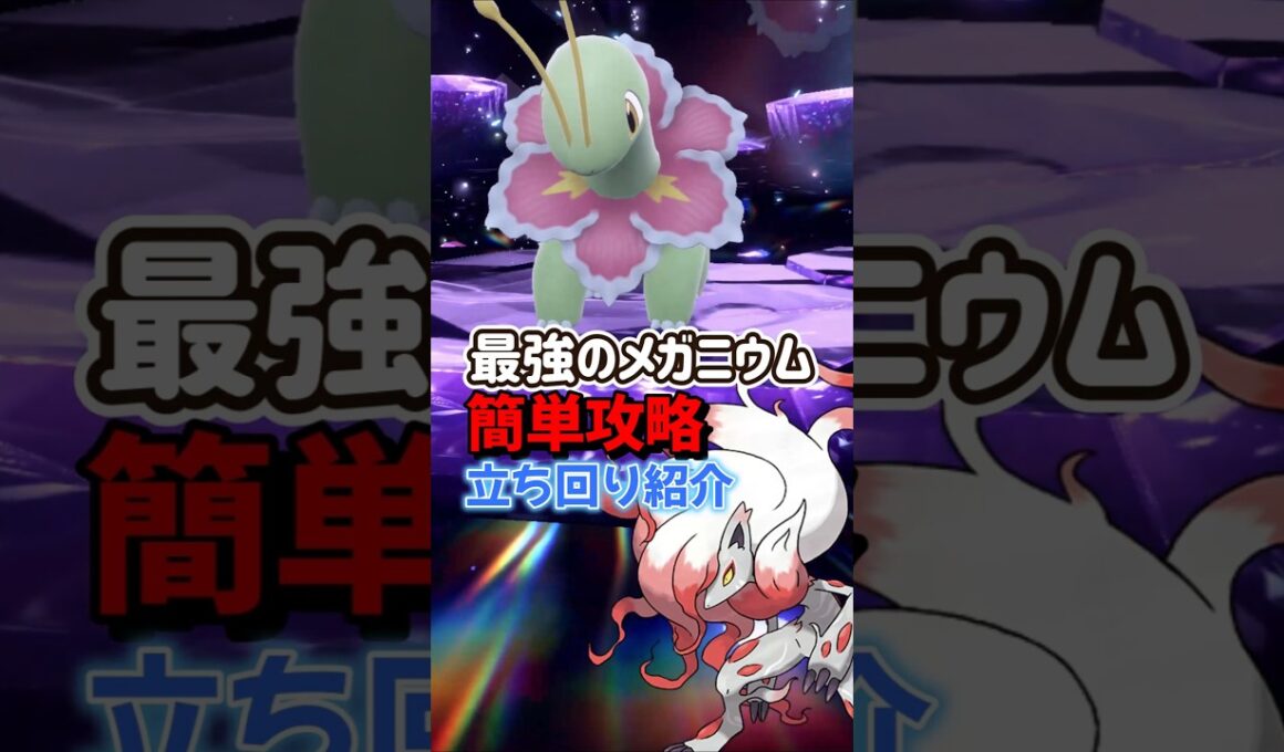 【ポケモンSV】最強メガニウムソロ攻略！対策はヒスイゾロアークで勝てる立ち回りを解説！ポケモンスカーレットバイオレット #ポケモンsv #ポケモン #Shorts