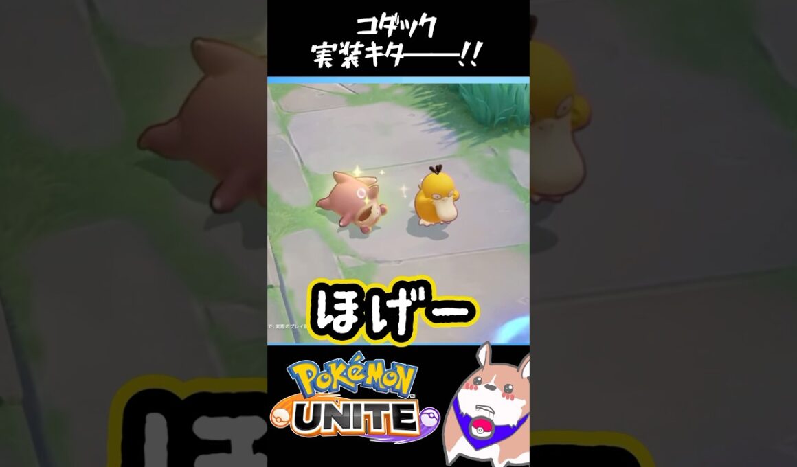 コダック実装キタ━━━(ﾟ∀ﾟ)━━━！！　#ポケモンユナイト#店長すぐ