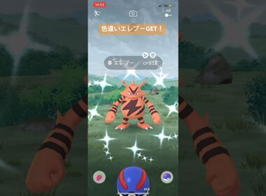 ポケモンGO色違いエレブーGET！#ポケモン #ポケモンgo #pokemongo