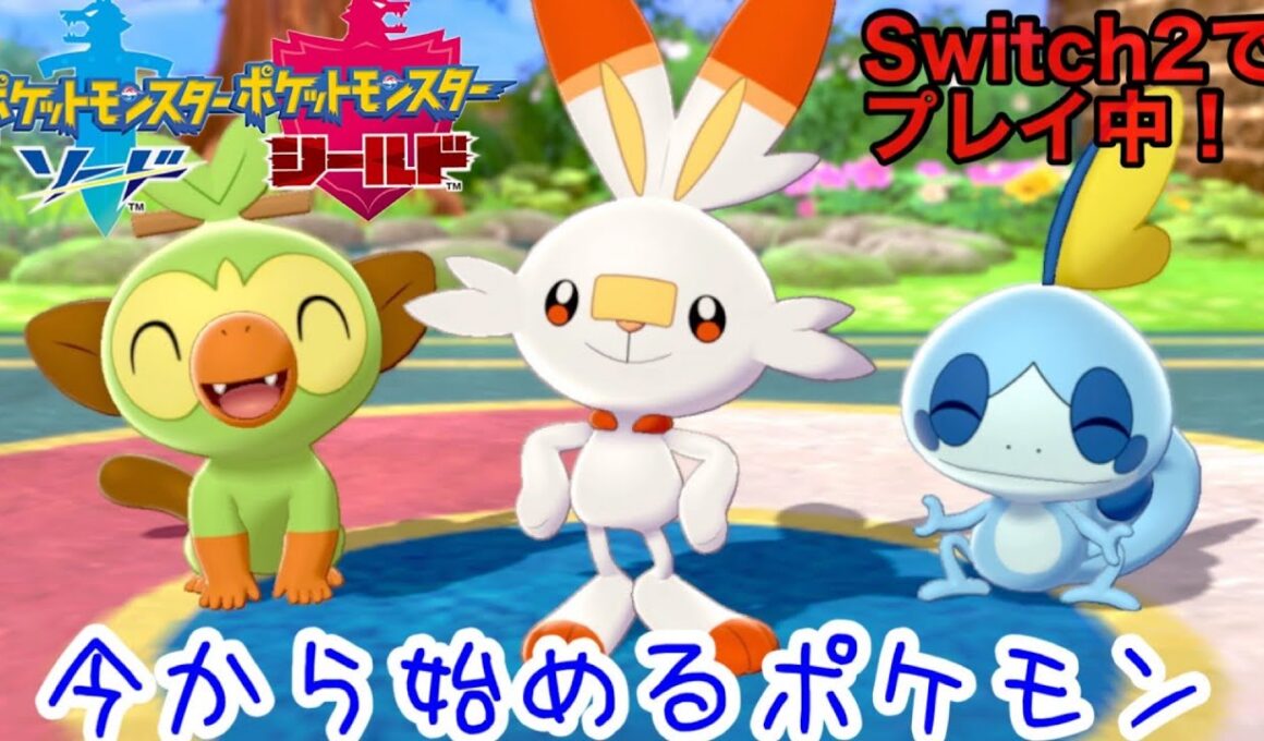 【ポケモン剣盾】ヌイコグマをつかまえたよ　２