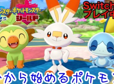 【ポケモン剣盾】ヌイコグマをつかまえたよ　２