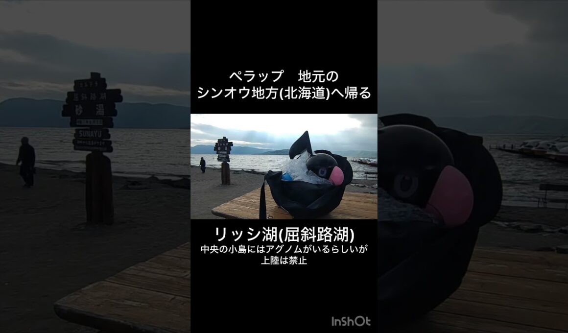 実物大ペラップ、シンオウ地方へ帰る #ポケモン #pokemon #travel #pokemonbdsp