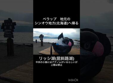 実物大ペラップ、シンオウ地方へ帰る #ポケモン #pokemon #travel #pokemonbdsp