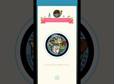 【ポケふたスタンプラリー】 トゲデマル ワンパチのマンホール 頂きました( *˙ω˙*)و ｸﾞｯ!