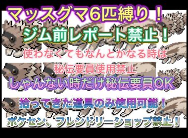 【ポケットモンスターエメラルド】マッスグマ6匹殿堂入り縛りプレイ！四天王と対決！最終章！