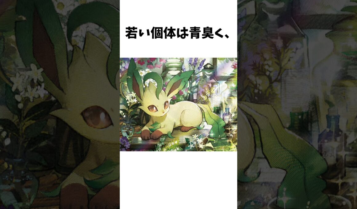 リーフィアの匂いにまつわる話 #ポケモン #ポケカ #ポケポケ#shorts