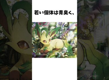 リーフィアの匂いにまつわる話 #ポケモン #ポケカ #ポケポケ#shorts