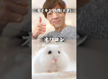 セイキンVSラフレシア【強さ比べ】