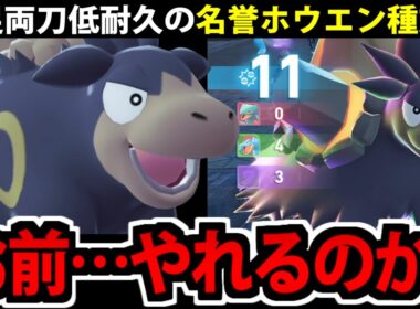 【ポケモンZA】代表的ホウエン種族値の「バクーダ」ミアレの地で大活躍してしまう