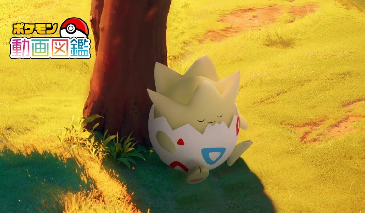 【公式】「ポケモン動画図鑑」No.0175 トゲピー