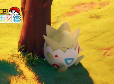 【公式】「ポケモン動画図鑑」No.0175 トゲピー