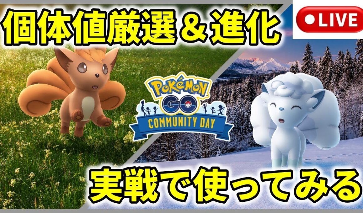 【ポケモンGO】ロコン＆アローラロコンコミュニティデイ！個体値厳選と進化＆早速実戦で使ってみる配信！