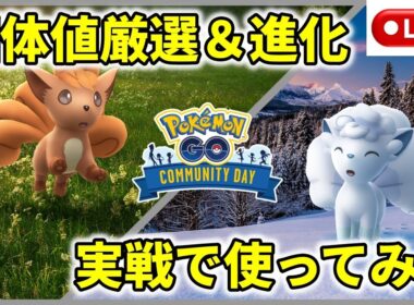 【ポケモンGO】ロコン＆アローラロコンコミュニティデイ！個体値厳選と進化＆早速実戦で使ってみる配信！