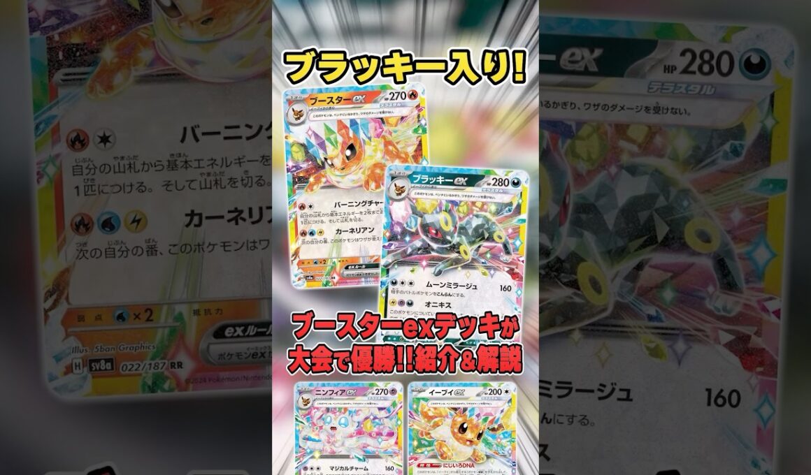 可愛くて強い”ブイズバレット”にブラッキーexも加入して大会で活躍していたので紹介＆解説♪【シティリーグ2025S4】
