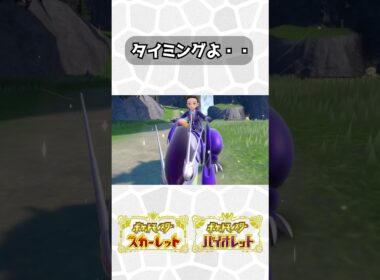 タイミング自重しろ下さい😅　#shorts #ポケモンsv #孵化厳選 #キリンリキ