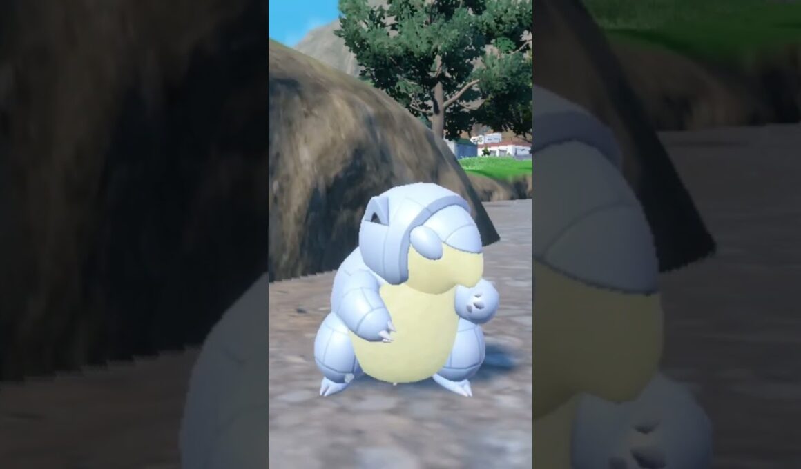アローラ サンド Alola Sandshrew【ポケモンsv】