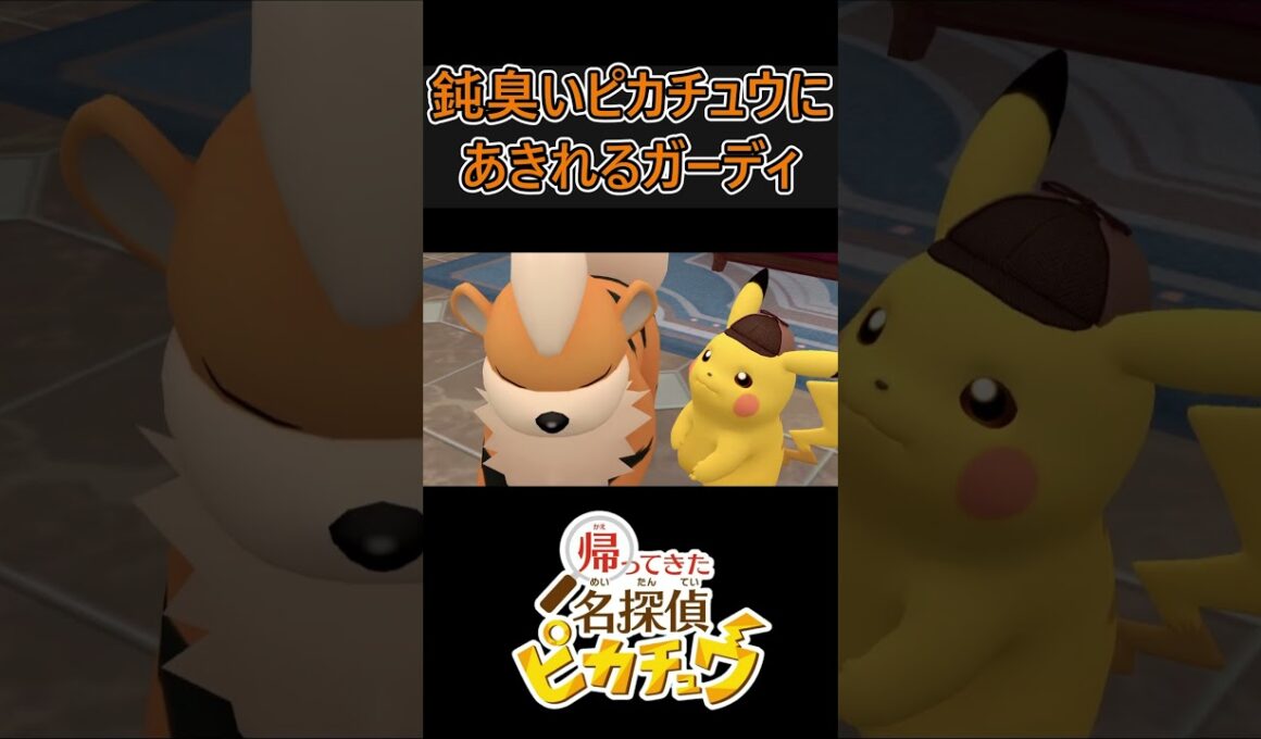 なんとかガーディに乗ろうとするが… #Shorts #名探偵ピカチュウ #ポケモン #pokemon #pikachu