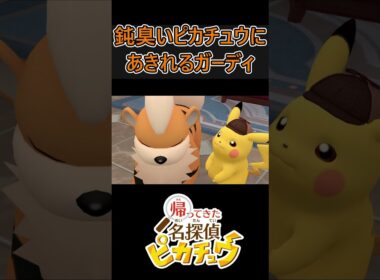 なんとかガーディに乗ろうとするが… #Shorts #名探偵ピカチュウ #ポケモン #pokemon #pikachu