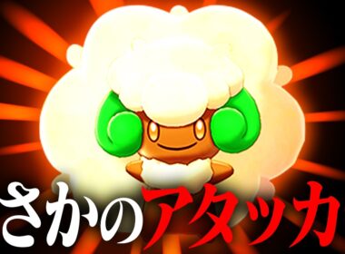 【可愛い顔で殴る】密かに上位でちょくちょくいたらしいエルフーン、現環境でもまだまだやれるんです。【ポケモンSV】