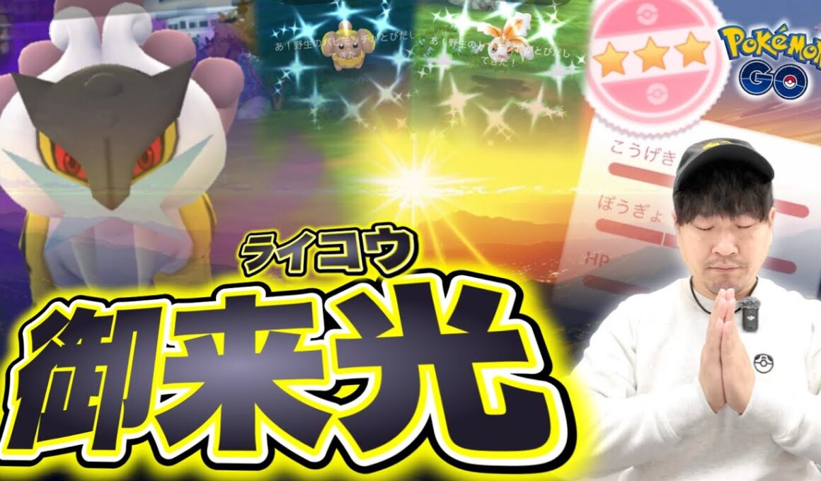 シャドウライコウレイドデイは大荒れ！？超速報！！！【ポケモンGO】