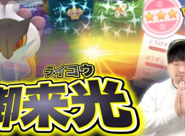 シャドウライコウレイドデイは大荒れ！？超速報！！！【ポケモンGO】