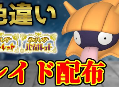 【本日のみ！】 色シェルダー 色レイド配布 shiny raid 【ポケモンSV】#参加型配信