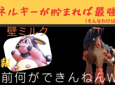 【悲報】ミルタンク×バンバドロの牧場コンビとかいうゴミデッキと言わざるを得ない（がち）