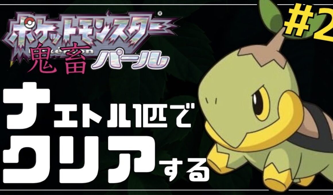 【ダイパリメイク記念】パールをナエトル単騎縛りでクリアする#2【ポケモンDPt】