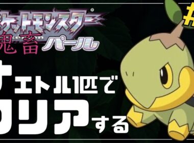 【ダイパリメイク記念】パールをナエトル単騎縛りでクリアする#2【ポケモンDPt】