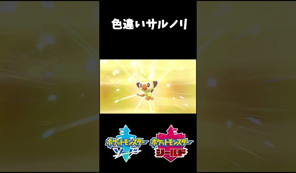 レイドバトル用に欲しくて色違い厳選^ ^ #short #ポケモン剣盾 #色違い #サルノリ