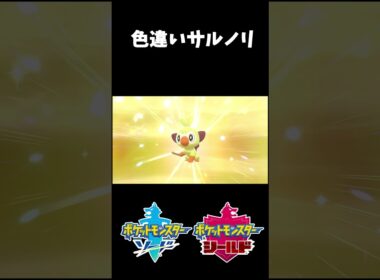 レイドバトル用に欲しくて色違い厳選^ ^ #short #ポケモン剣盾 #色違い #サルノリ