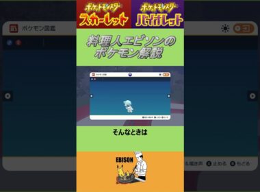 エビソンのポケモン解説229　#ポケモン #ポケモンsv #スカーレットバイオレット #クマシュン