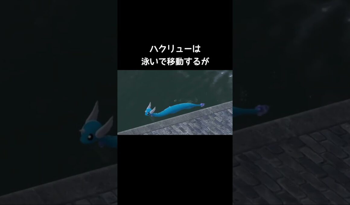 カイリューたちの水場の移動仕方【ポケモンZA】