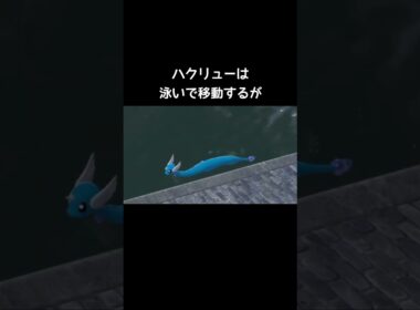 カイリューたちの水場の移動仕方【ポケモンZA】