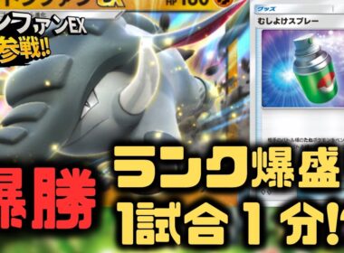 【ポケポケ】最強の速攻デッキ！環境デッキがボッコボコ！ドンファンEXの立ち位置が良すぎる！【空と海の導き/ランクマッチ/Pokémon Trading Card Game Pocket】