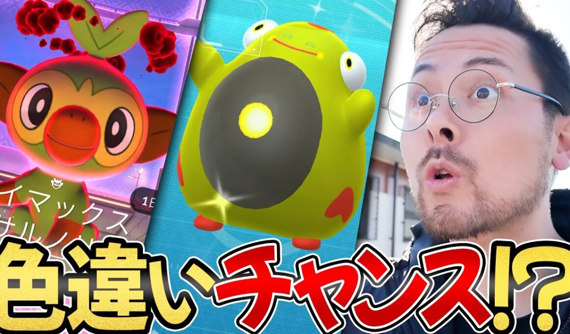 レア色違いサルノリチャンス？ちょ色違いズピカ？！え！？今光った？！ちょ個体値ぃいい！！【ポケモンGO】