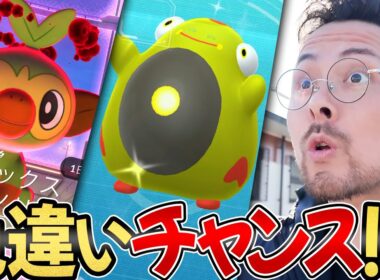 レア色違いサルノリチャンス？ちょ色違いズピカ？！え！？今光った？！ちょ個体値ぃいい！！【ポケモンGO】
