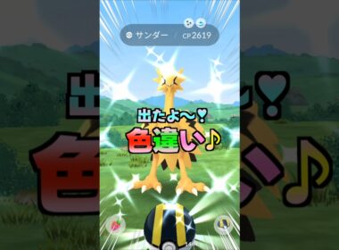 色違いガラルサンダー出現!!個体値は⁉【ポケモンGO】