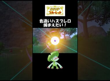 色違いハスブレロ捕まえたい！#スカーレット#ポケモン#ポケモンsv #色違い#ゲーム#ゲーム実況#ゲーム配信#参加型#初心者#ゲーマー夫婦#switch＃game