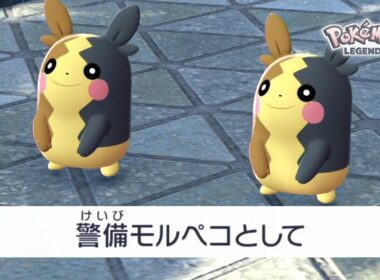 警備モルペコってなんだよ｜ポケモンZA #47