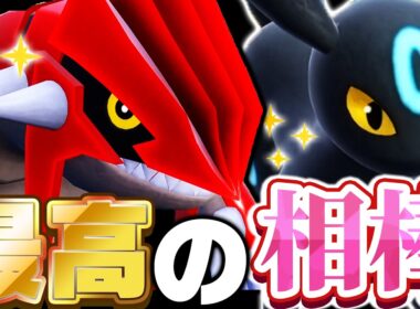 え、この2匹噛み合いすぎ！？『グラードン』の意外な「あの技」+『ブラッキー』で完全制圧します！【ポケモンSV】