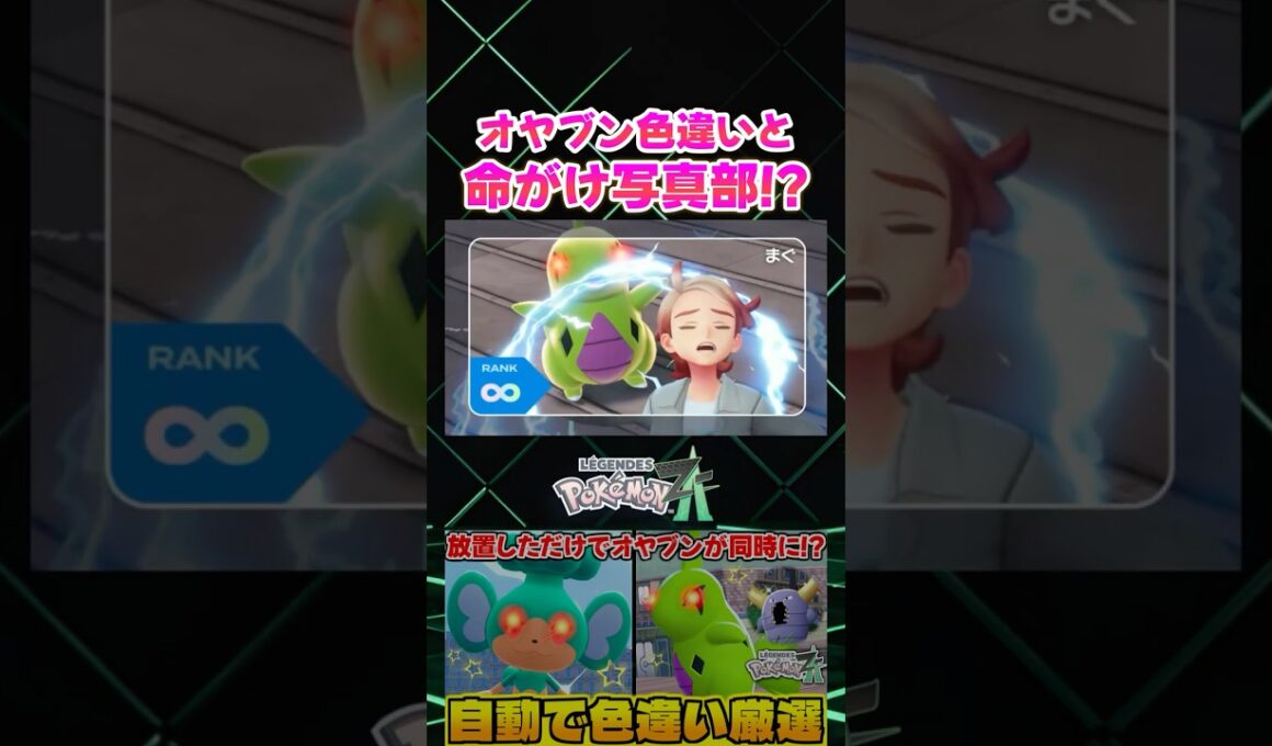 【ポケモンZA】野生と命がけ写真部!? 色違いのオヤブンヨーギラスが出現したので最強のトレーナーカードにしてみたｗ【色違い厳選】【切り抜き】 #shorts