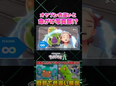 【ポケモンZA】野生と命がけ写真部!? 色違いのオヤブンヨーギラスが出現したので最強のトレーナーカードにしてみたｗ【色違い厳選】【切り抜き】 #shorts